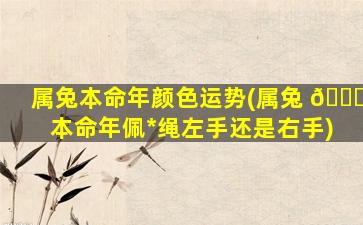 属兔本命年颜色运势(属兔 🐋 本命年佩*
绳左手还是右手)